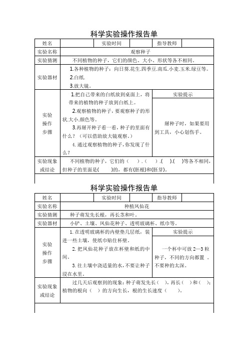 科学实验操作报告单