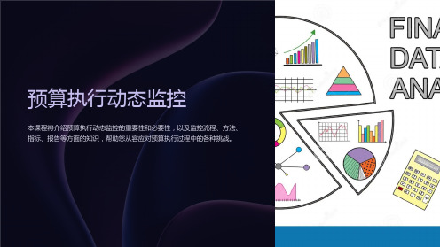 《预算执行动态监控》课件