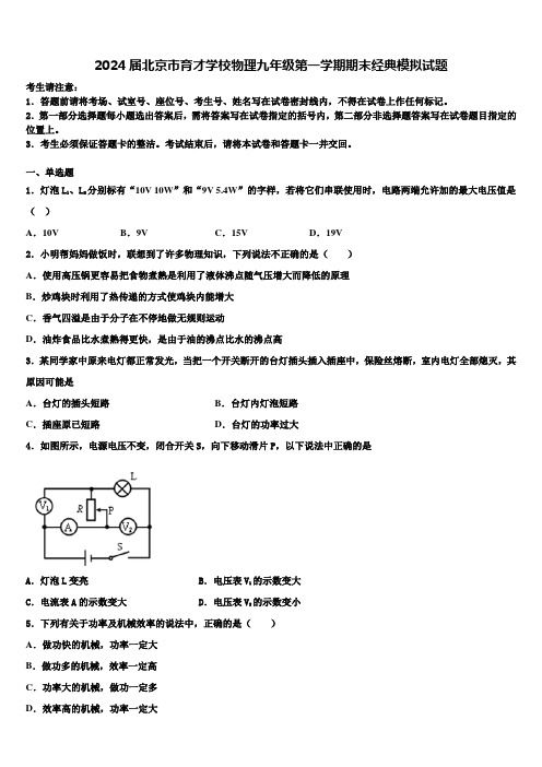 2024届北京市育才学校物理九年级第一学期期末经典模拟试题含解析