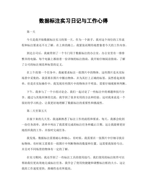 数据标注实习日记与工作心得