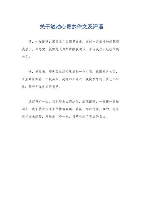 关于触动心灵的作文及评语