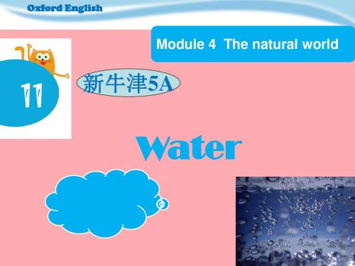 五年级英语上册 Unit 11 Water讲义3 牛津上海版