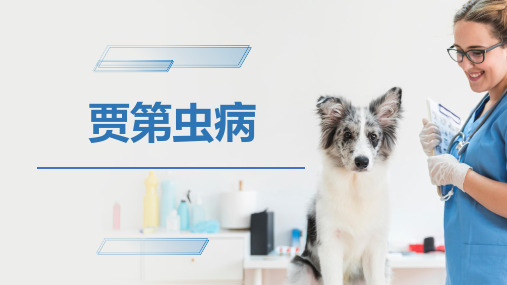 犬猫的寄生虫病(贾第虫病)-宠物医生课件