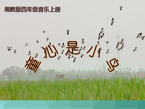 最新-四年级音乐课件湘教版四年级音乐上册童心是小鸟课件下载之一 精品