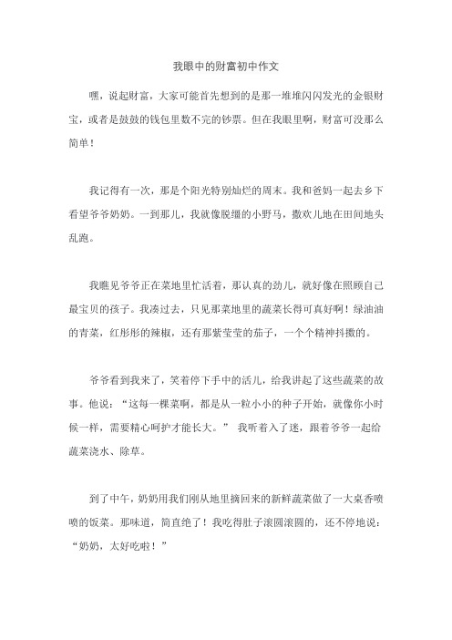 我眼中的财富初中作文