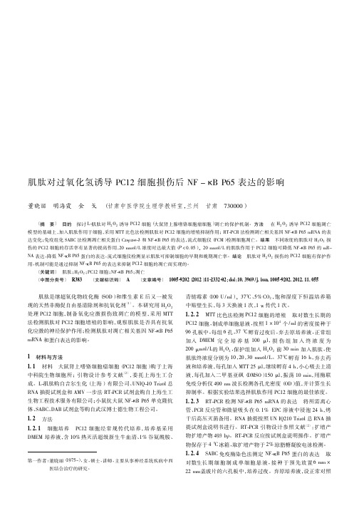 肌肽对过氧化氢诱导PC12细胞损伤后NF-κB P65表达的影响