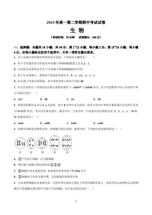 高一下学期期中考试生物试卷含答案