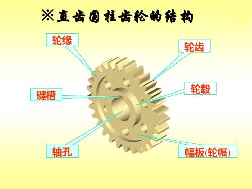 机械制图齿轮及键的画法