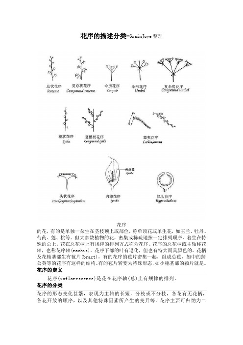 花序描述分类(最新整理)