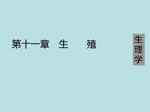 最新第二军医《生理学》课件完美版 生  殖