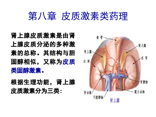 皮质激素类药理课件