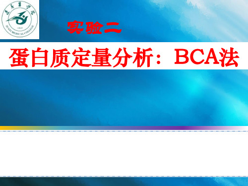 蛋白质的定量分析：BCA法