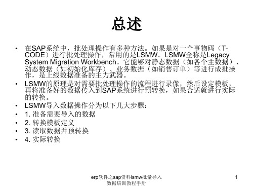 erp软件之sap资料lsmw批量导入数据培训教程手册课件