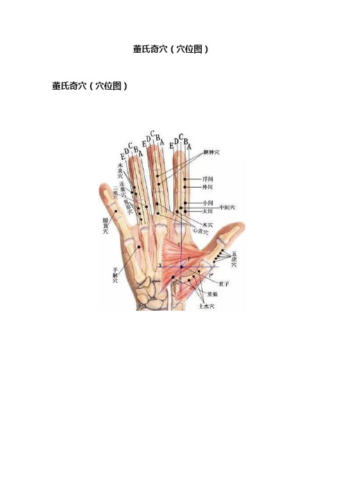 董氏奇穴（穴位图）