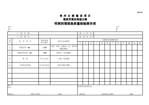 明洞回填现场质量检验报告表