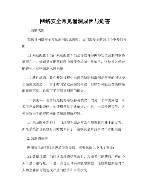 网络安全常见漏洞成因与危害