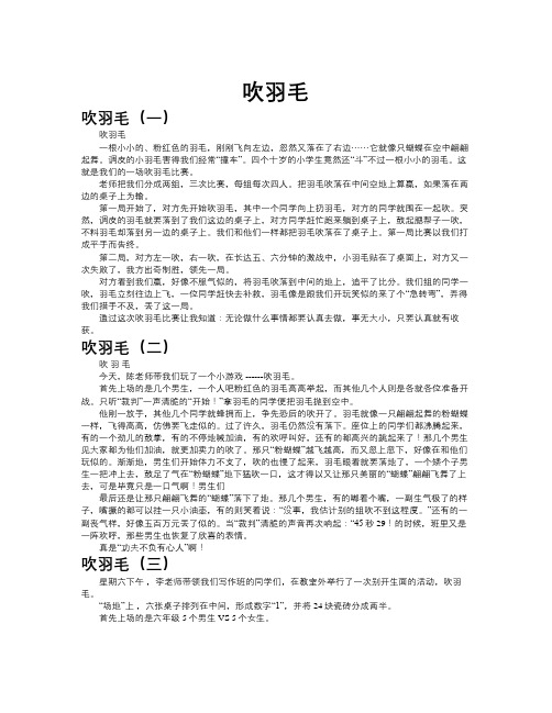 吹羽毛作文共九篇