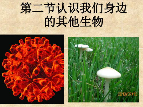 第二节认识我们身边的其他生物2012PPT优秀课件