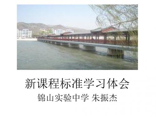 新课程标准学习体会Microsoft PowerPoint 演示文稿