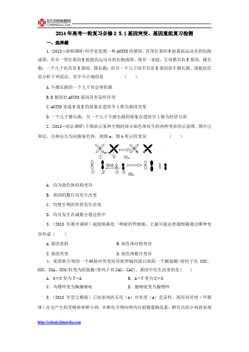 2014年高考一轮复习必修2 5.1基因突变、基因重组复习检测