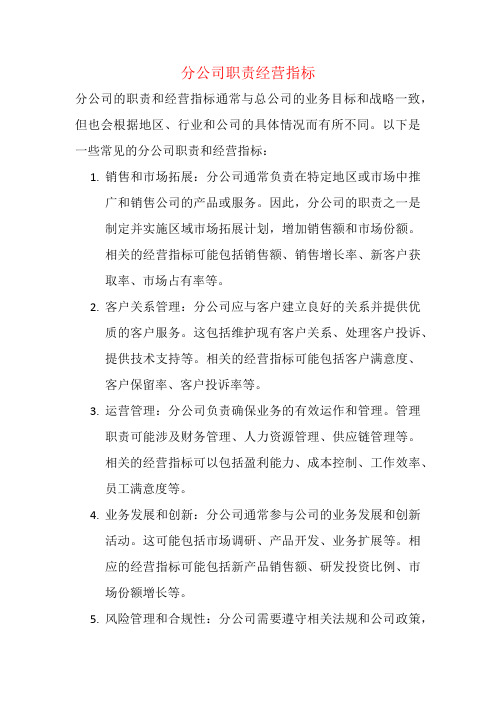 分公司职责经营指标