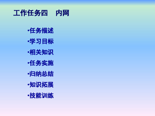 计算机网络技术学习任务五外网部署