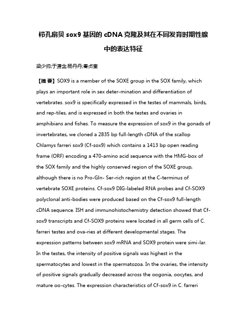 栉孔扇贝sox9基因的cDNA克隆及其在不同发育时期性腺中的表达特征