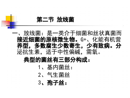 放线菌 微生物讲解