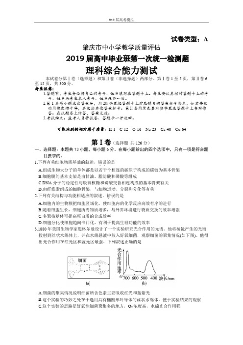 【理科综合模拟】2019届高三级一模理综试题(16页)