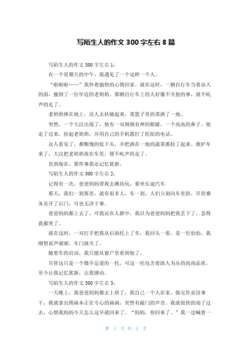 写陌生人的作文300字左右8篇