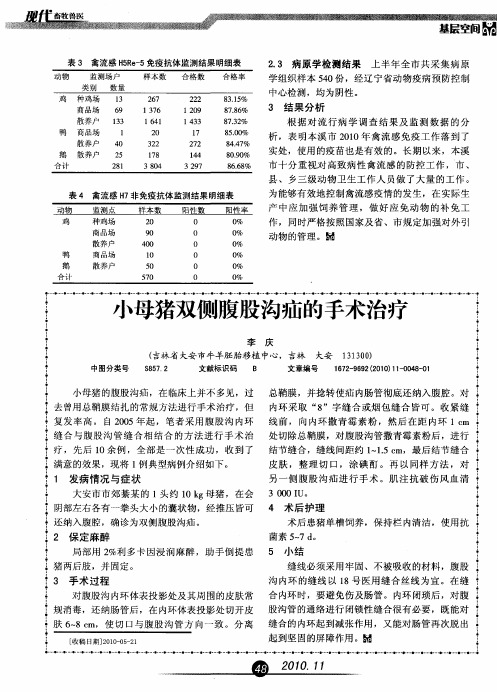 小母猪双侧腹股沟疝的手术治疗