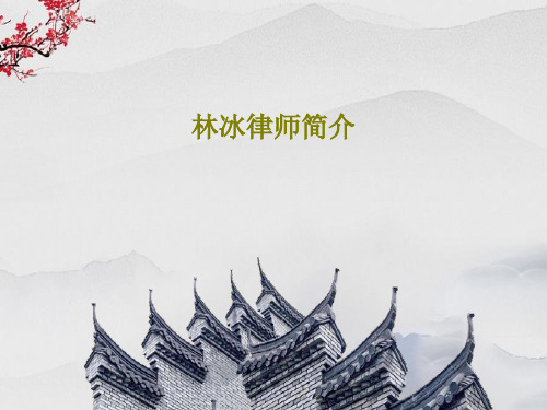 林冰律师简介共17页