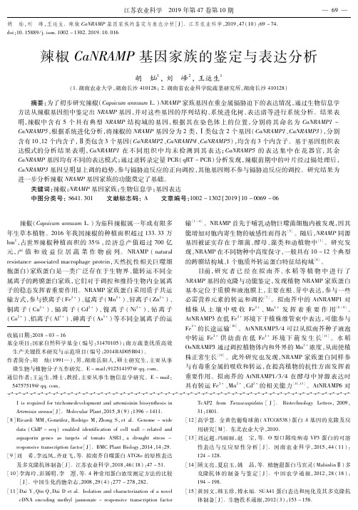 辣椒CaNRAMP基因家族的鉴定与表达分析