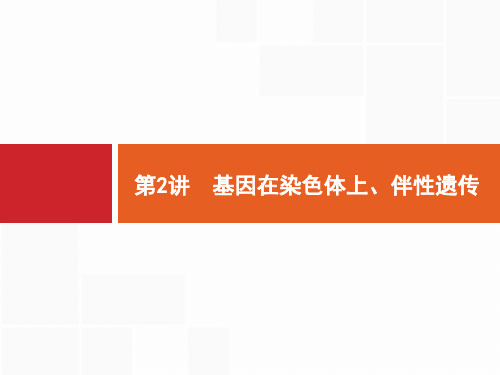 【人教版】高三生物一轮复习：6.2《基因在染色体上、伴性遗传》ppt课件