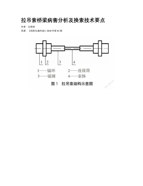 拉吊索桥梁病害分析及换索技术要点