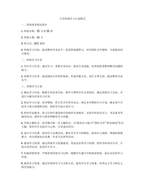 大学班级学习计划格式