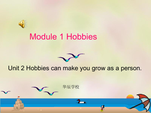 八年级英语Hobbies课件.ppt