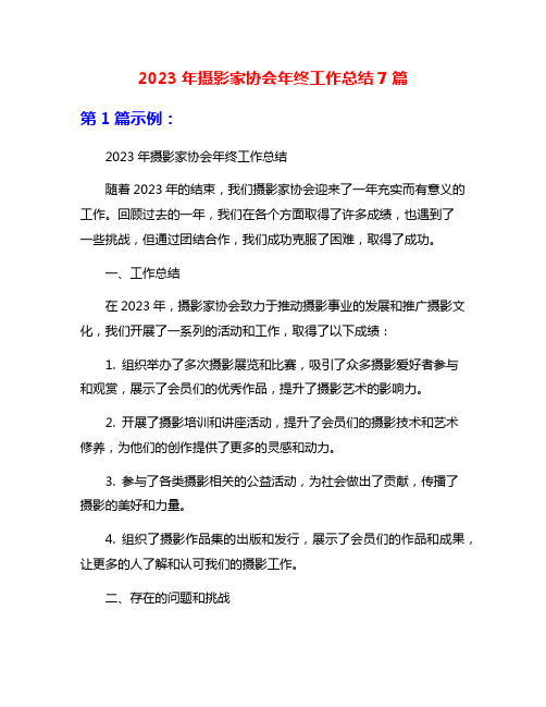 2023年摄影家协会年终工作总结7篇