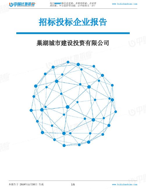 巢湖城市建设投资有限公司-招投标数据分析报告