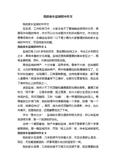 我的家乡盐城初中作文