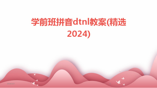 2024版年度学前班拼音dtnl教案(精选)