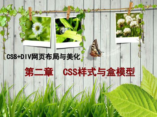 CSS+DIV网页布局与美化  第二章  CSS样式与盒模型