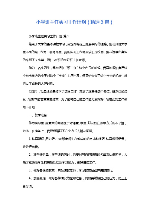 小学班主任实习工作计划(精选3篇)