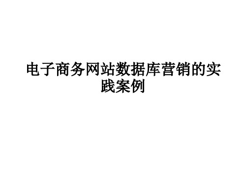 电子商务网站数据库营销的实践案例副本