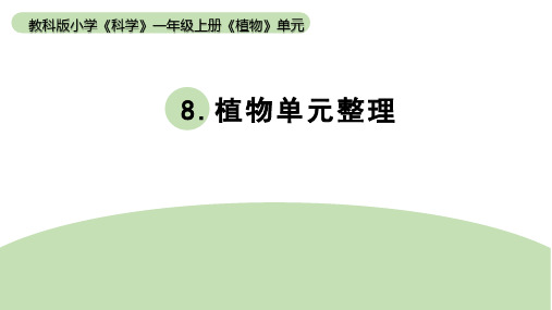 2022版科学一年级上册《植物》单元1-8《植物》单元整理