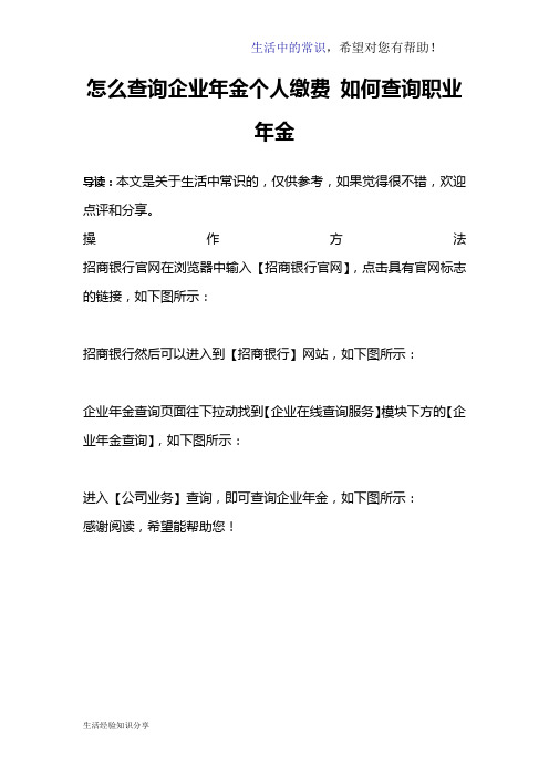 怎么查询企业年金个人缴费 如何查询职业年金