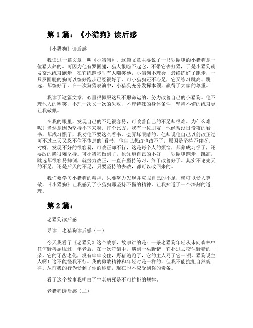 《小猎狗》读后感(共2篇)