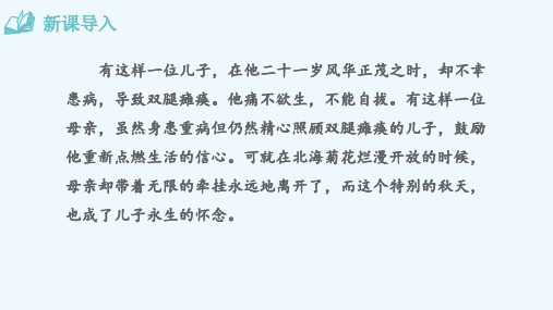 七年级语文上册第二单元5秋天的怀念课件新人教版