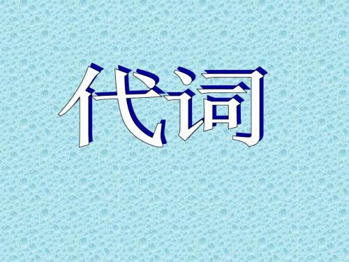 2017年新目标英语中考《代词》语法专题课件(共53张PPT)