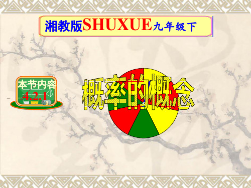 湘教版九年级下册数学：4.2.1概率的概念